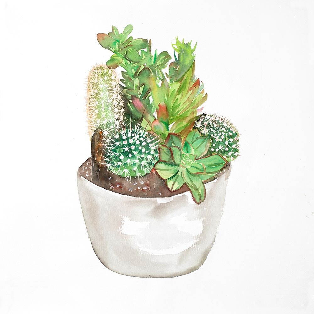 CACTUS ASSORTMENT IN A POT art print by Atelier B Art Studio for $57.95 CAD
