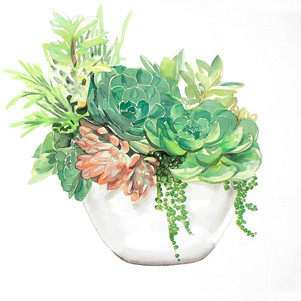 SUCCULENT ASSORTMENT IN A POT art print by Atelier B Art Studio for $57.95 CAD