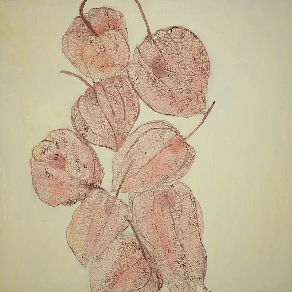 CLOSED GROUND CHERRIES art print by Atelier B Art Studio for $57.95 CAD