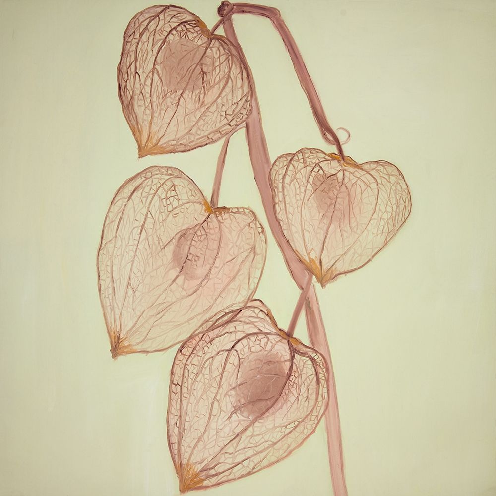 GROWING GROUND CHERRIES art print by Atelier B Art Studio for $57.95 CAD