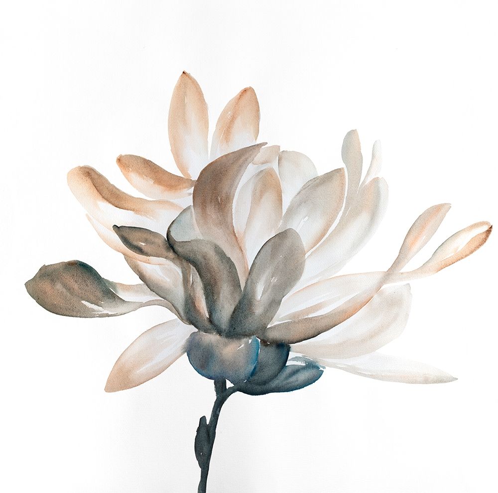 DESATURATED FLOWER WITH BEAUTIFUL PETALS art print by Atelier B Art Studio for $57.95 CAD