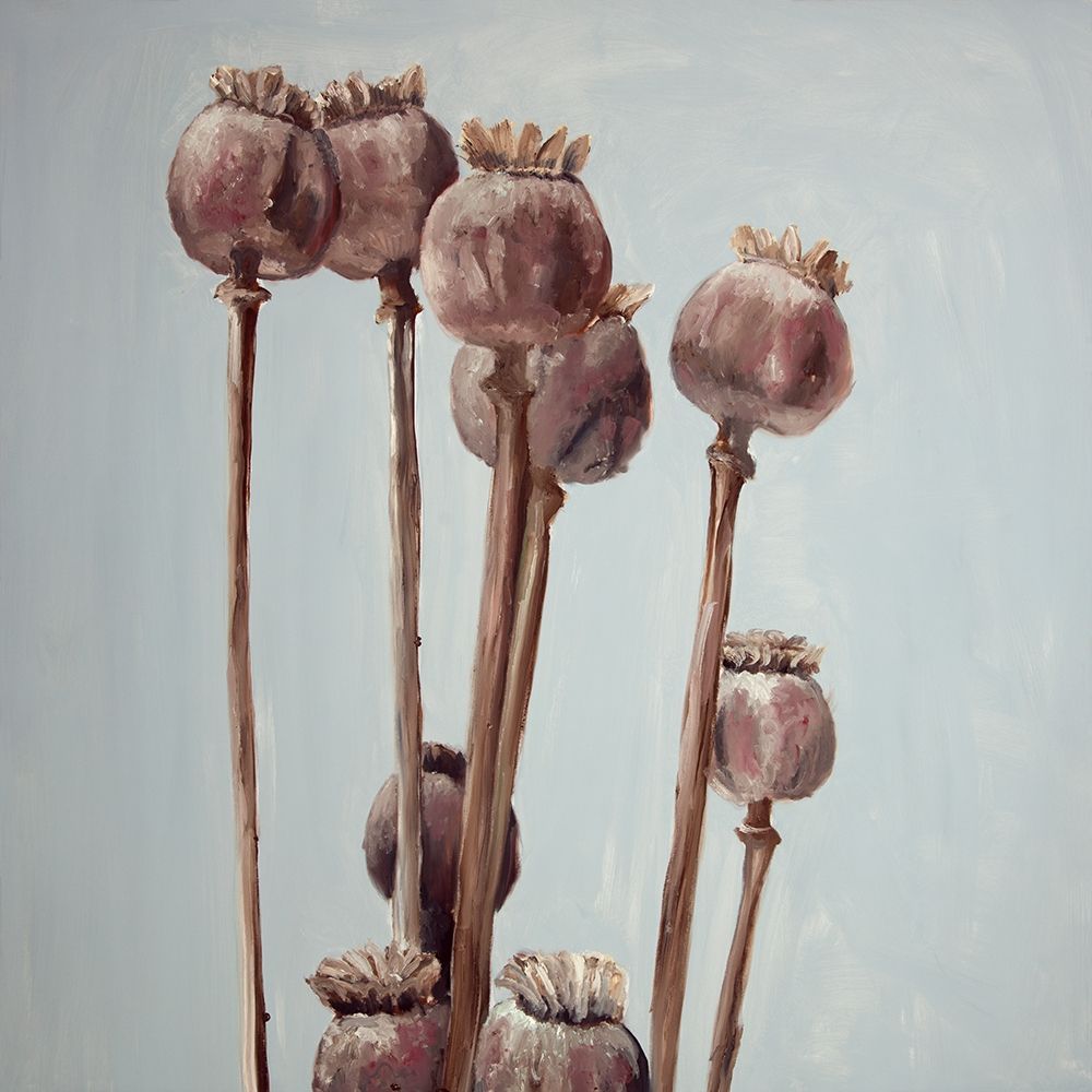 SEPIA POPPY HEAD PLANTS art print by Atelier B Art Studio for $57.95 CAD