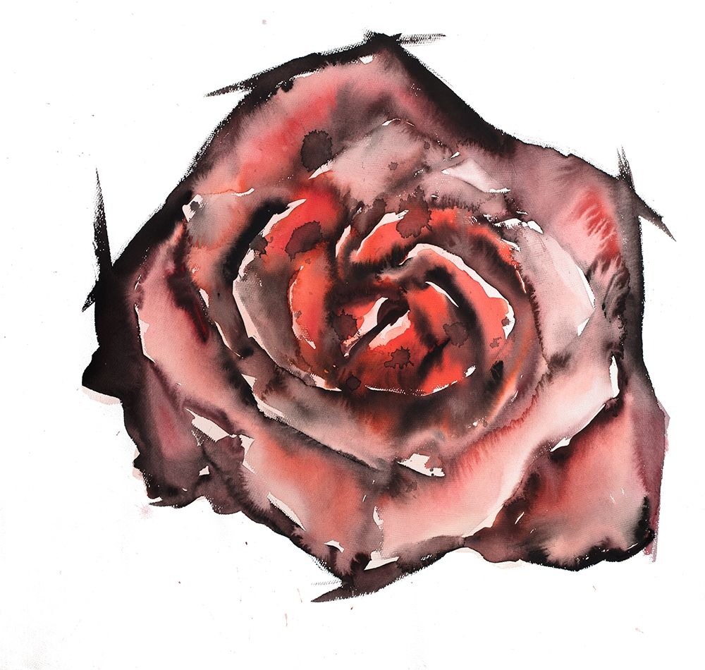 WATERCOLOR ROSE art print by Atelier B Art Studio for $57.95 CAD