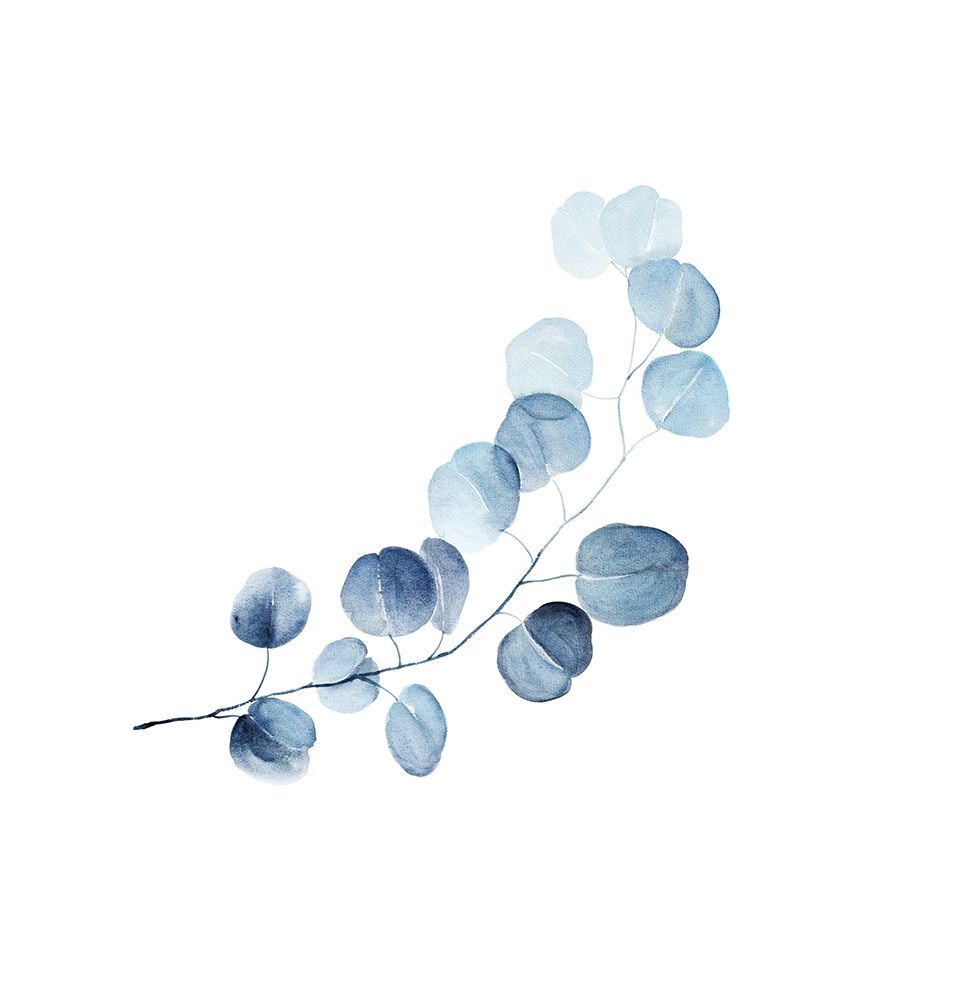A BRANCH OF EUCALYPTUS art print by Atelier B Art Studio for $57.95 CAD