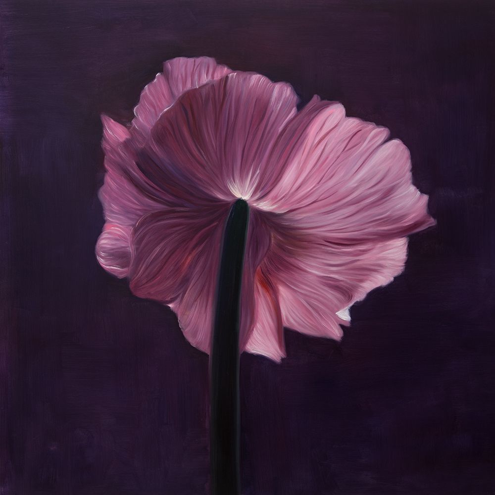 PURPLE FLOWER ON A DARK BACKGROUND art print by Atelier B Art Studio for $57.95 CAD