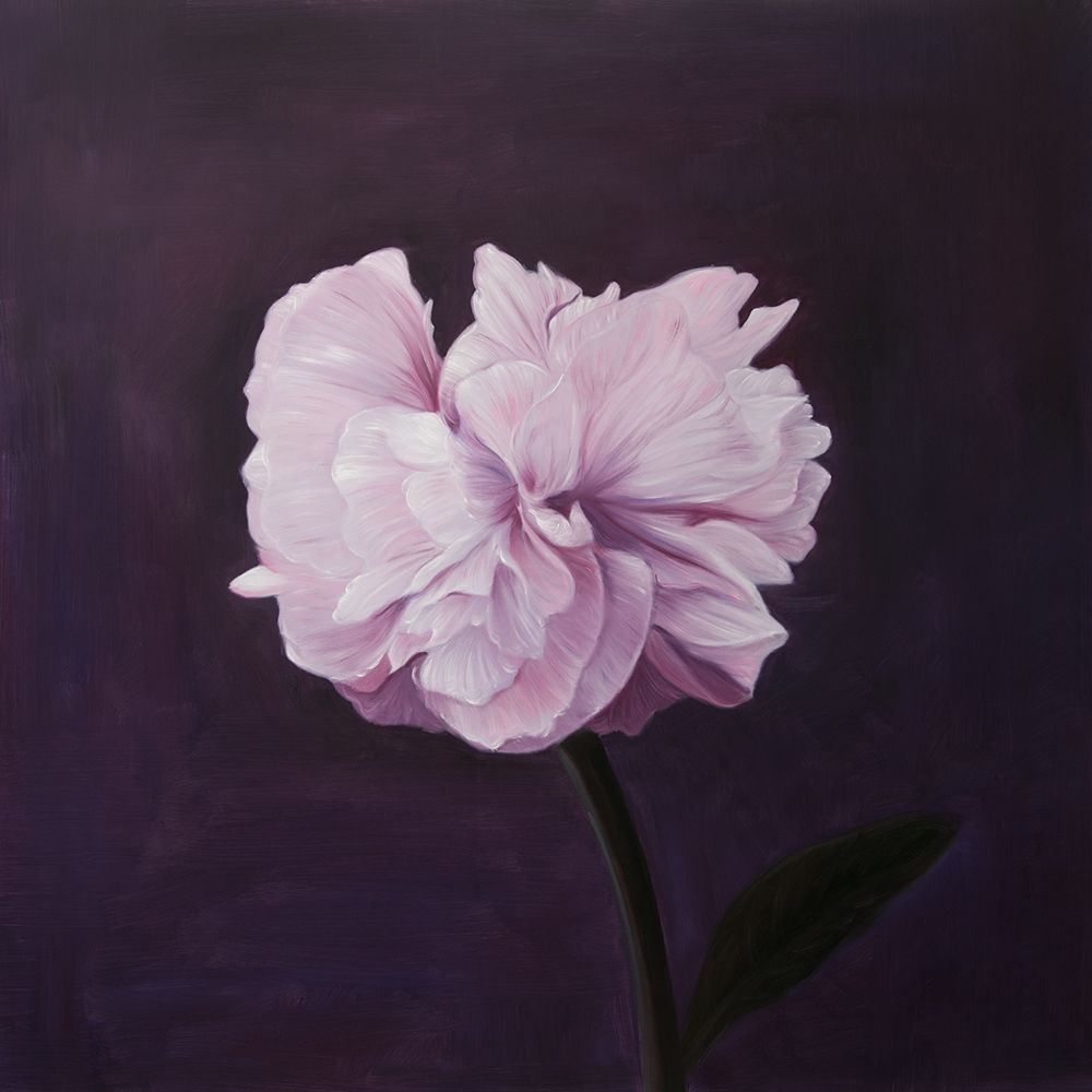 BEAUTIFUL PINK FLOWER art print by Atelier B Art Studio for $57.95 CAD