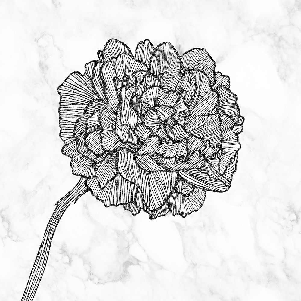 BRIGHT PEONY art print by Atelier B Art Studio for $57.95 CAD