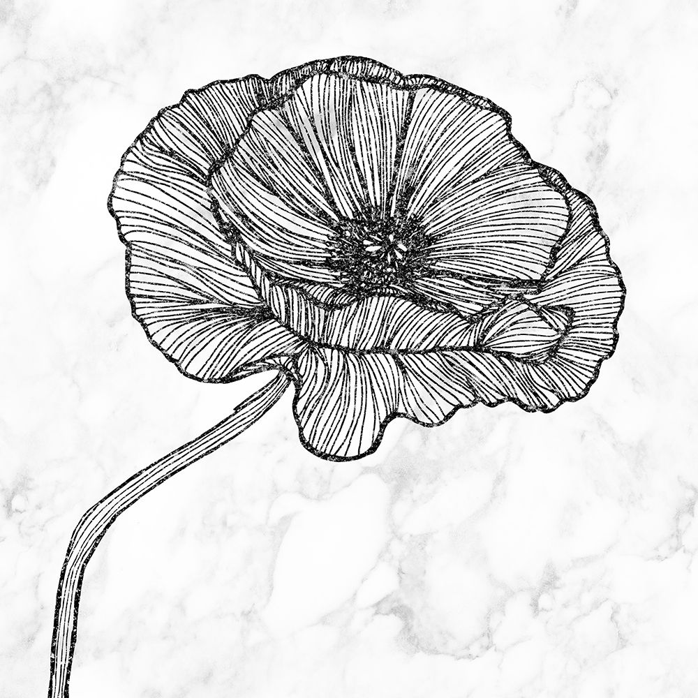 BRIGHT POPPY FLOWER art print by Atelier B Art Studio for $57.95 CAD
