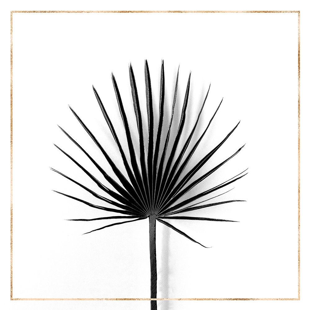 CABBAGE PALM LEAF WITH GOLD LINES art print by Atelier B Art Studio for $57.95 CAD