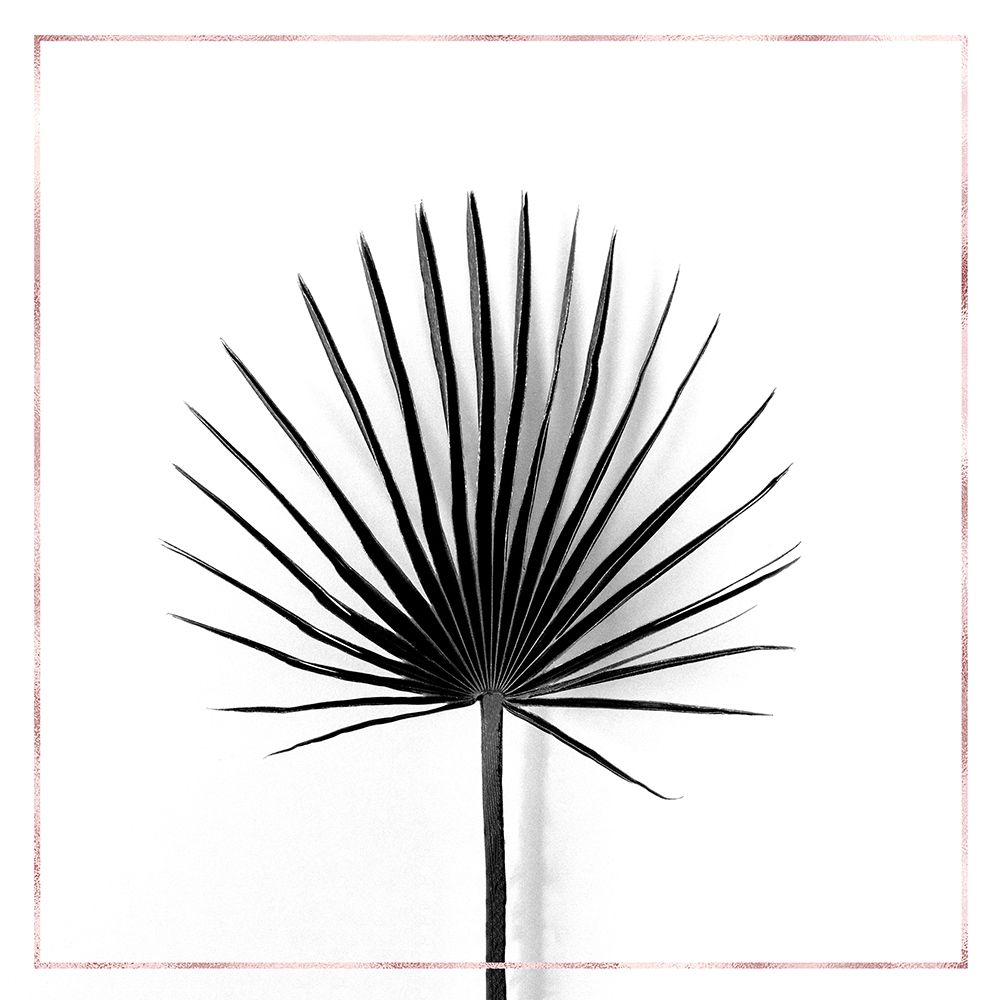 CABBAGE PALM LEAF WITH ROSE LINES art print by Atelier B Art Studio for $57.95 CAD