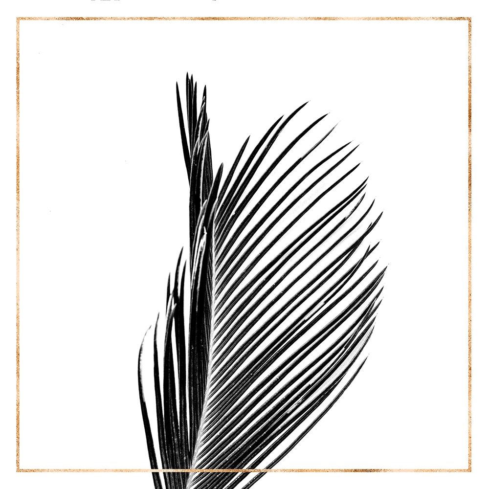 ARECA PALM WITH GOLD LINE art print by Atelier B Art Studio for $57.95 CAD
