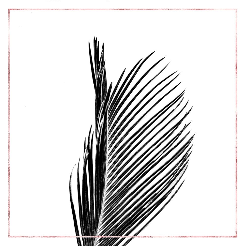 ARECA PALM WITH ROSE LINE art print by Atelier B Art Studio for $57.95 CAD