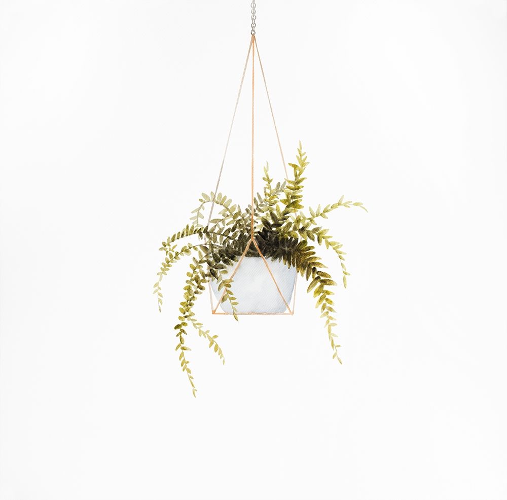 SUSPENDED FERN art print by Atelier B Art Studio for $57.95 CAD