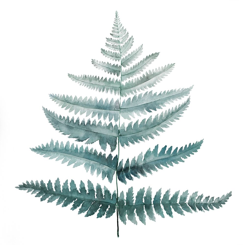 FERN art print by Atelier B Art Studio for $57.95 CAD