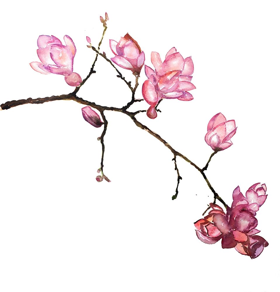 BRANCH OF CHERRY BLOSSOMS art print by Atelier B Art Studio for $57.95 CAD