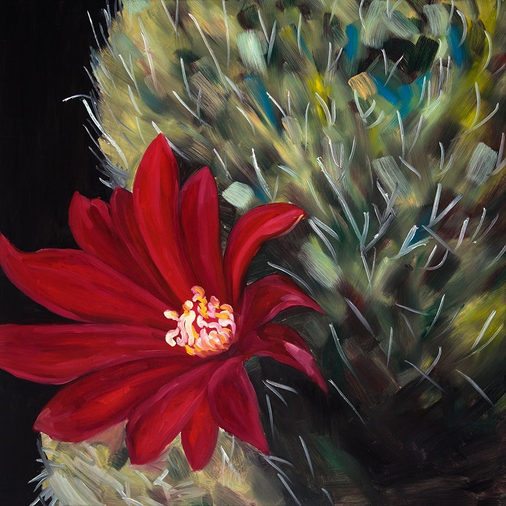 ECHINOPSIS RED CACTUS FLOWER art print by Atelier B Art Studio for $57.95 CAD