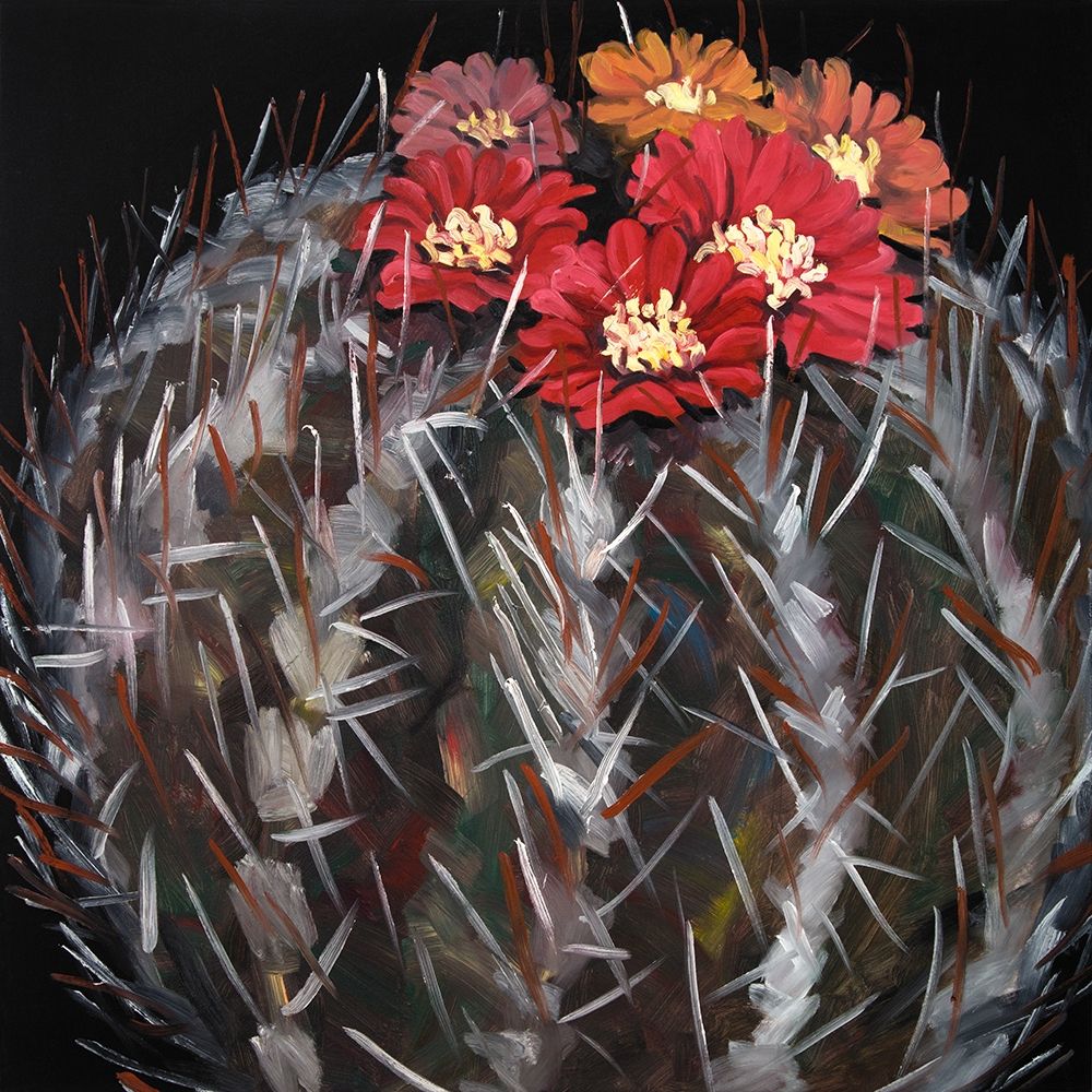 MAMMILLARIA CACTUS IN BLOOM art print by Atelier B Art Studio for $57.95 CAD