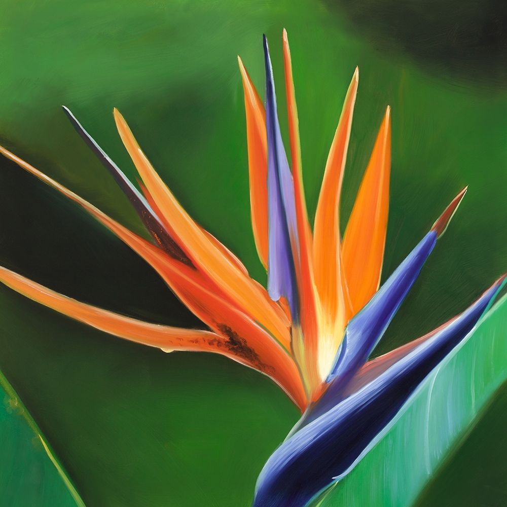 BIRD OF PARADISE FLOWER art print by Atelier B Art Studio for $57.95 CAD