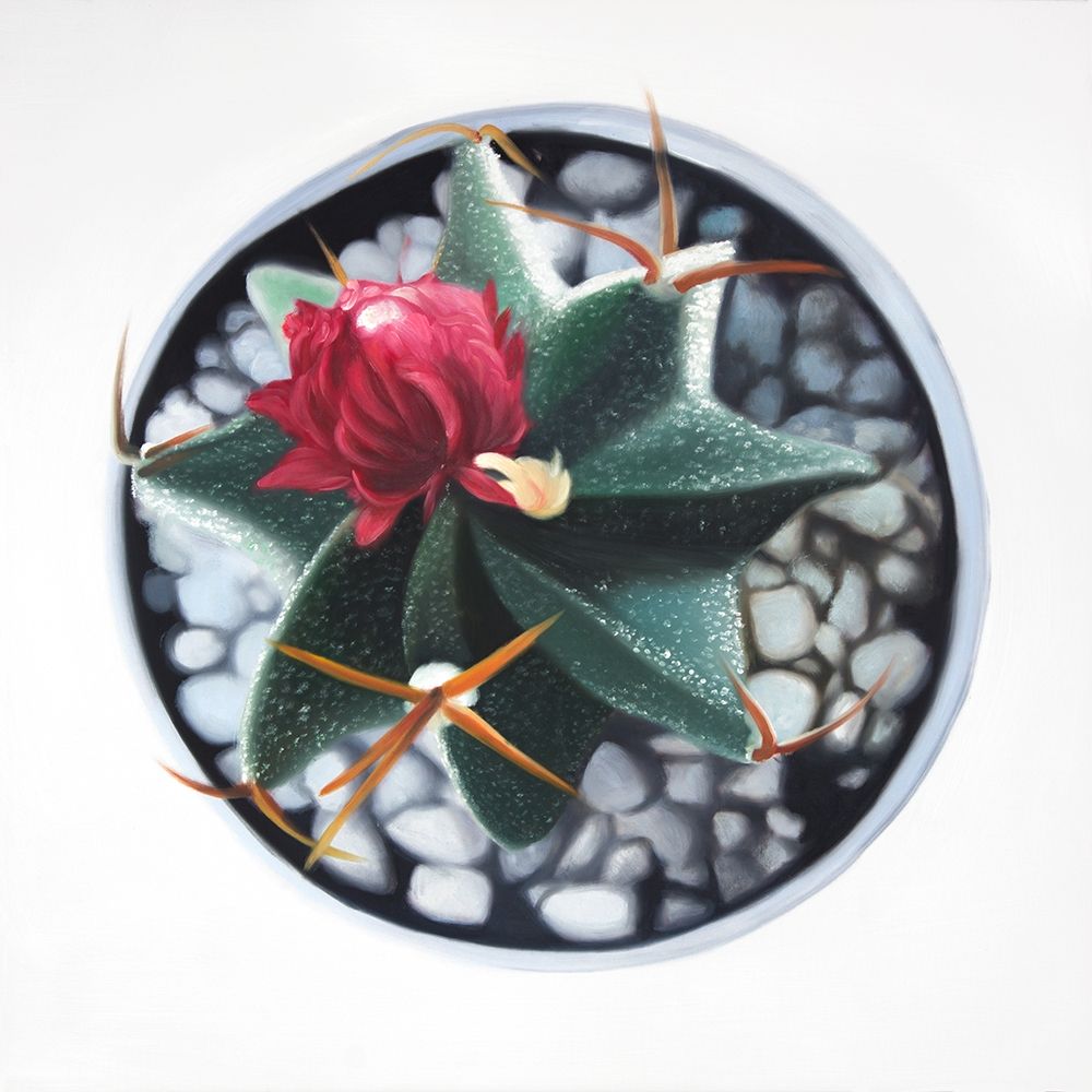 CACTUS IN POT art print by Atelier B Art Studio for $57.95 CAD