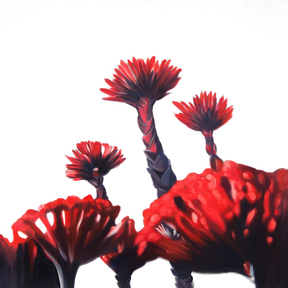 RED TROPICAL FLOWERS art print by Atelier B Art Studio for $57.95 CAD
