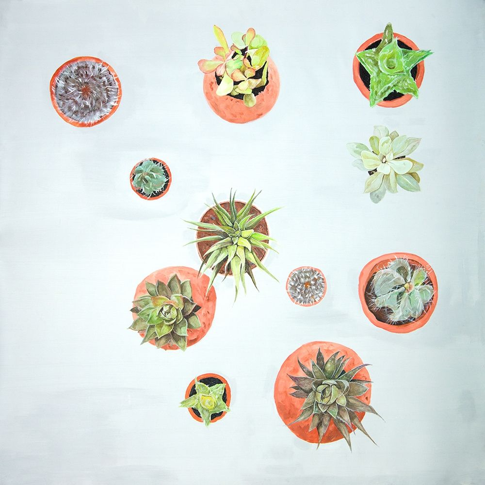 CACTUS PLANTS art print by Atelier B Art Studio for $57.95 CAD