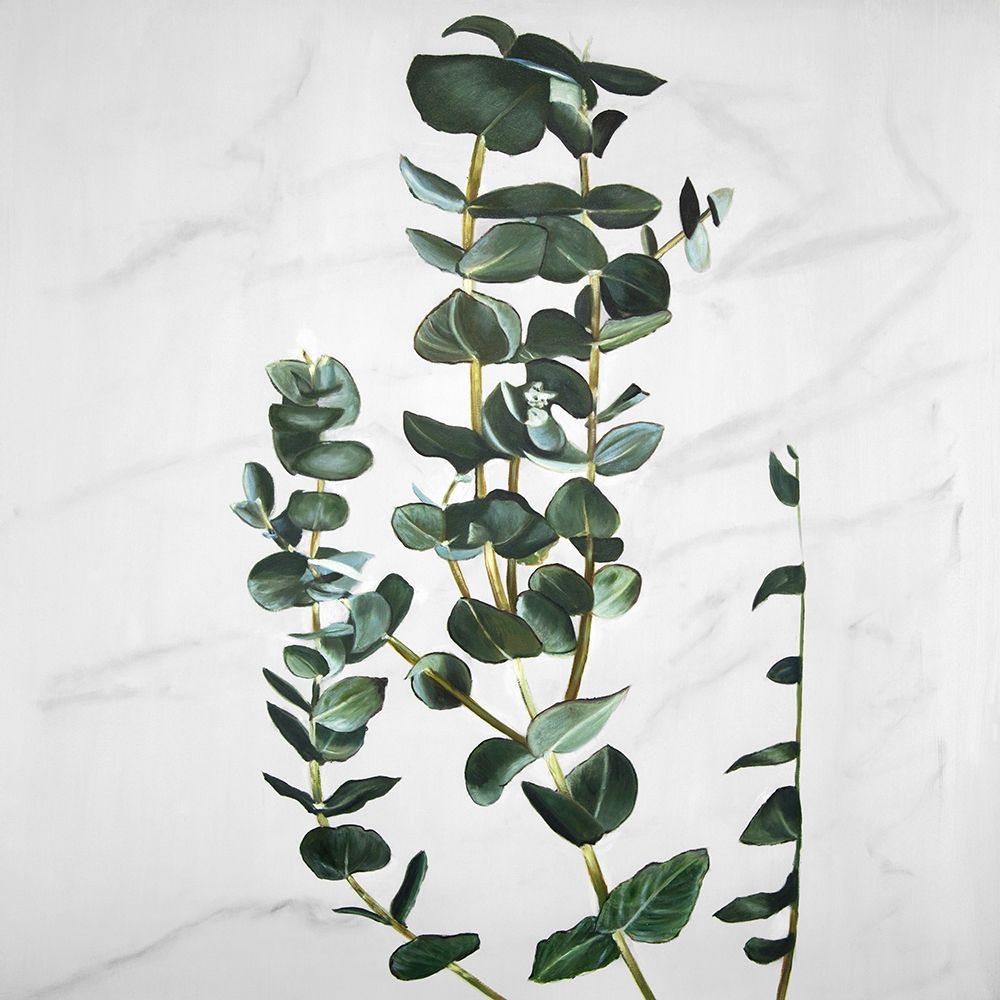 EUCALYPTUS STEMS art print by Atelier B Art Studio for $57.95 CAD
