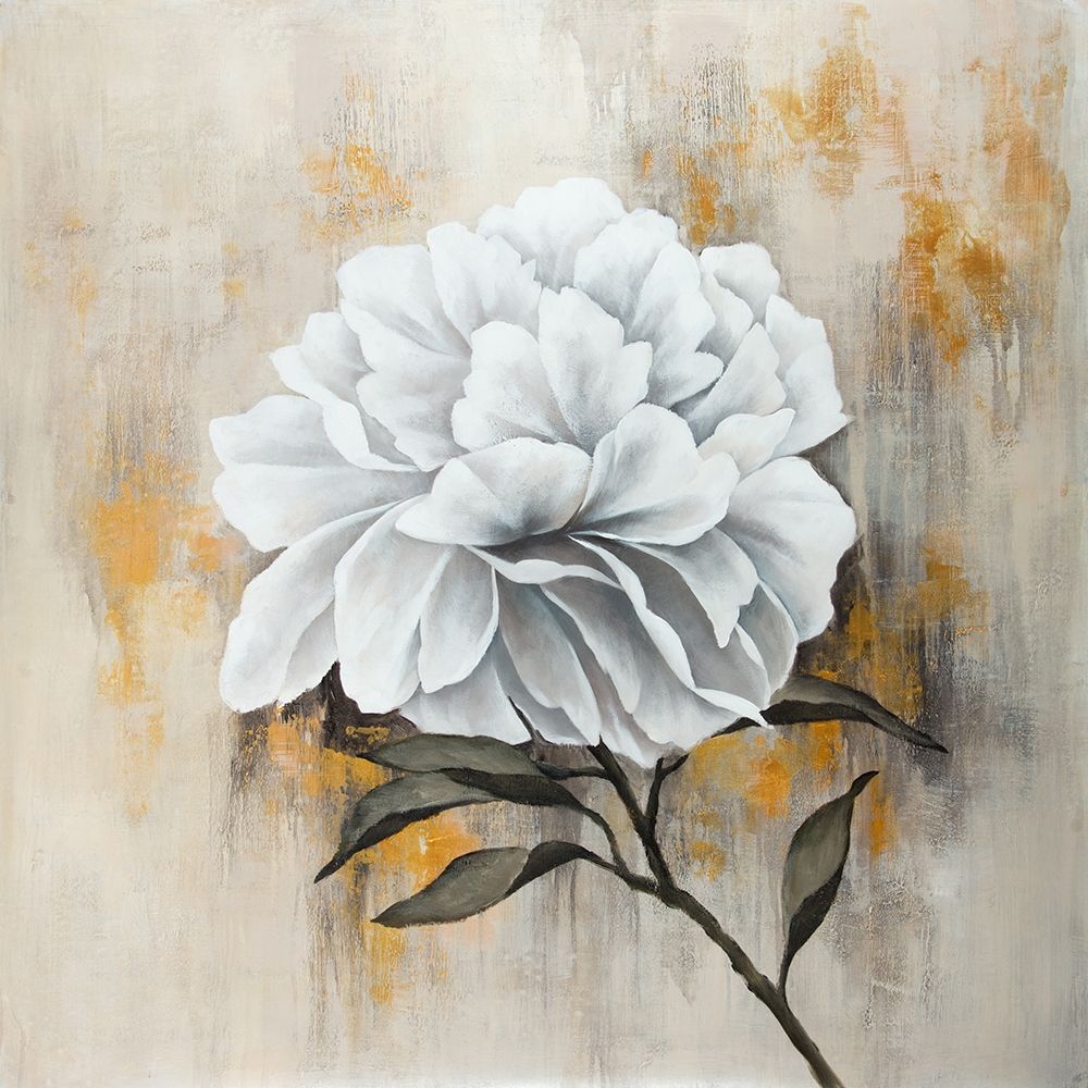 WHITE PEONY art print by Atelier B Art Studio for $57.95 CAD