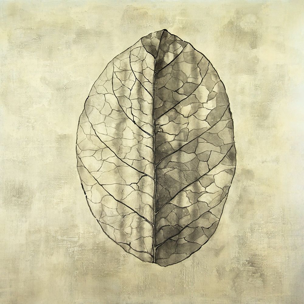 TRANSLUCENT art print by Atelier B Art Studio for $57.95 CAD