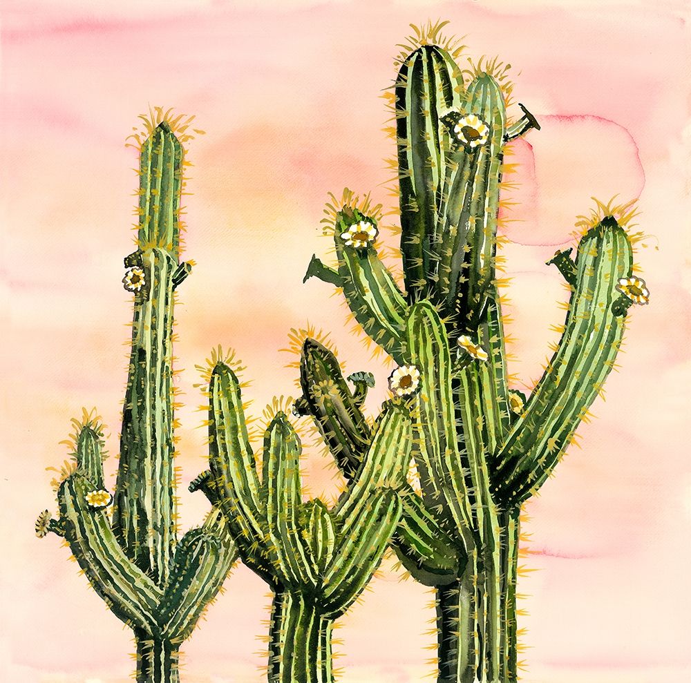 WEBEROCEREUS CACTUS art print by Atelier B Art Studio for $57.95 CAD