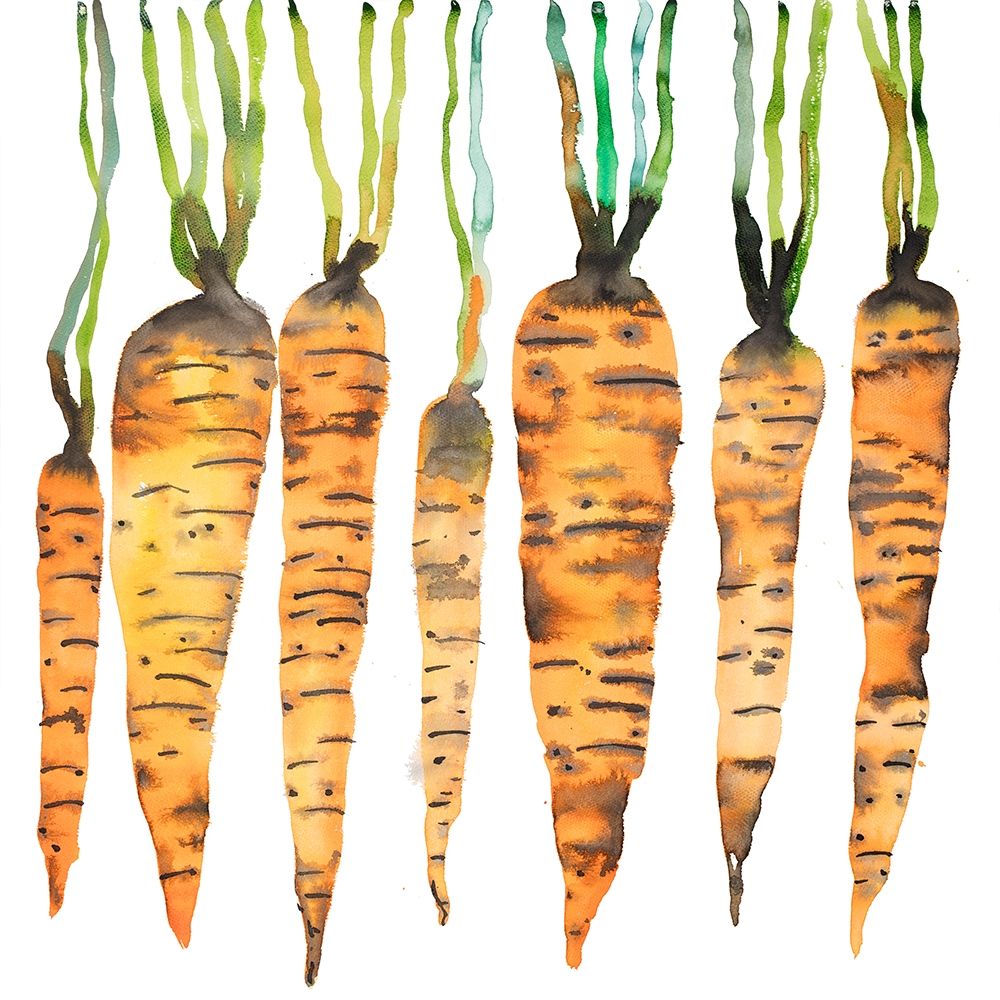 WATERCOLOR CARROTS art print by Atelier B Art Studio for $57.95 CAD