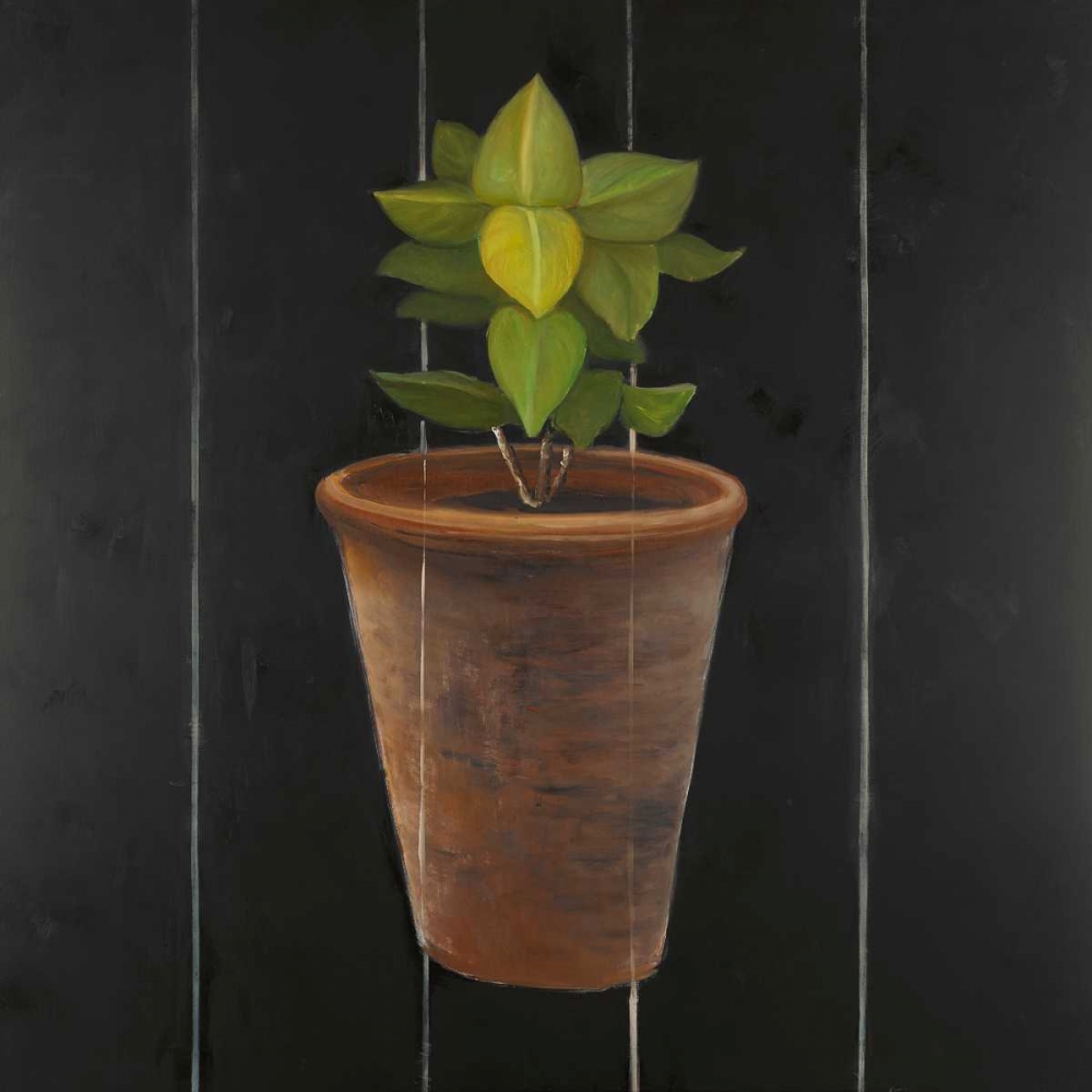 Plant of Bay Leaves art print by Atelier B Art Studio for $57.95 CAD
