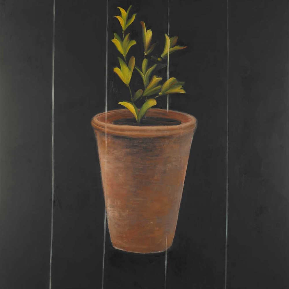 Plant of Marjolaine art print by Atelier B Art Studio for $57.95 CAD