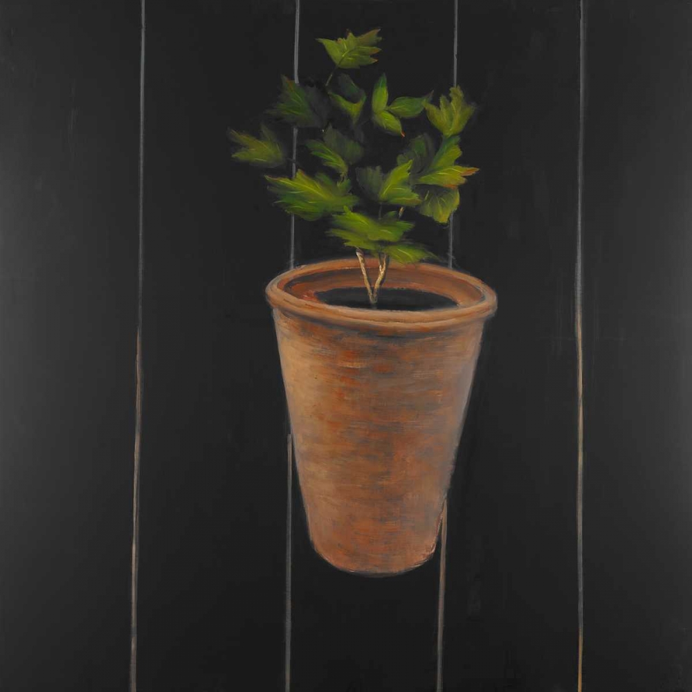 Plant of Parsley art print by Atelier B Art Studio for $57.95 CAD