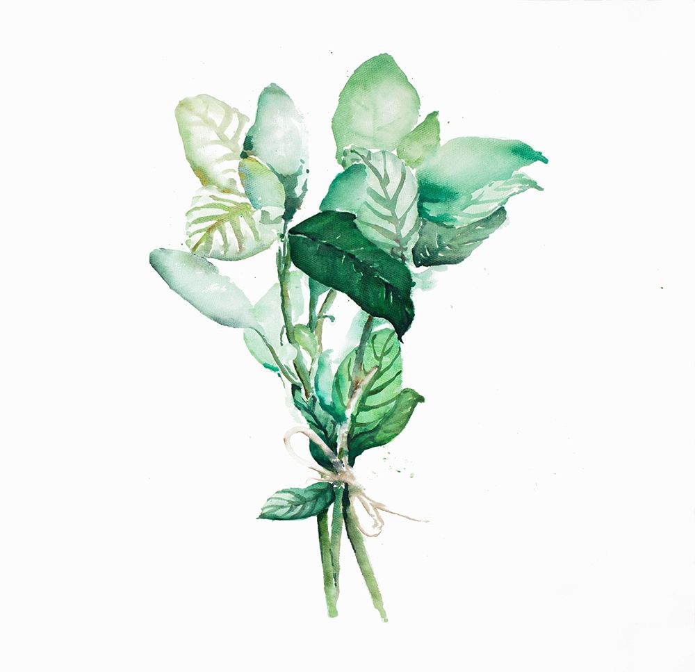 TIED UP BASIL LEAVES BUNDLE art print by Atelier B Art Studio for $57.95 CAD