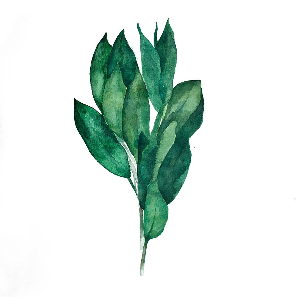 BAY LEAVES BUNDLE art print by Atelier B Art Studio for $57.95 CAD