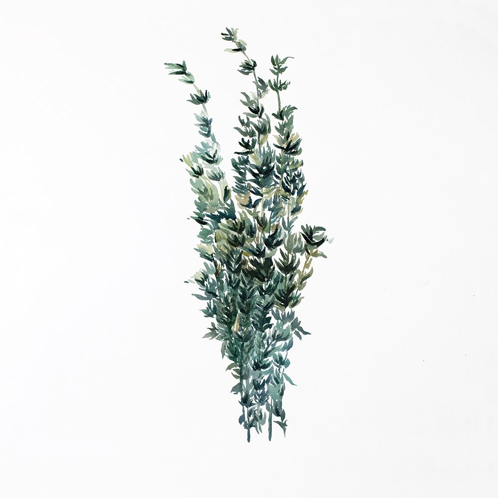 THYME LEAVES BUNDLE art print by Atelier B Art Studio for $57.95 CAD