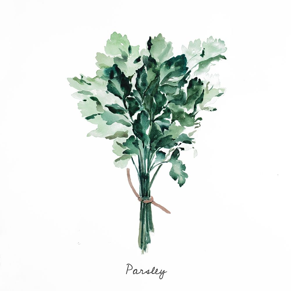 TIED UP PERSIL BUNDLE - EN art print by Atelier B Art Studio for $57.95 CAD