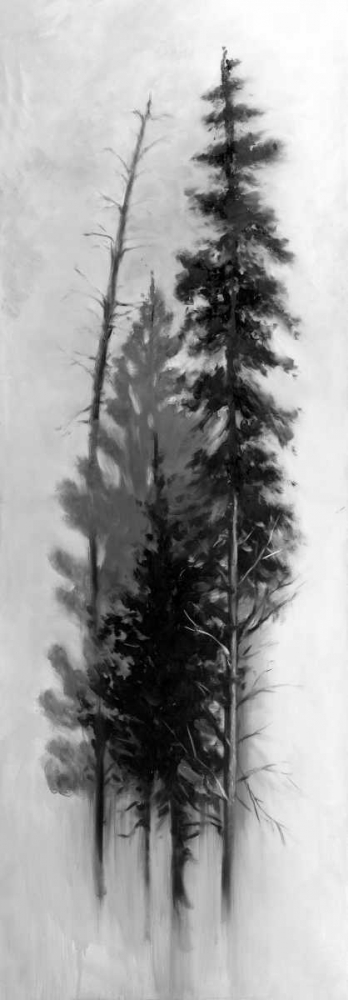 Silhouette of Trees art print by Atelier B Art Studio for $57.95 CAD