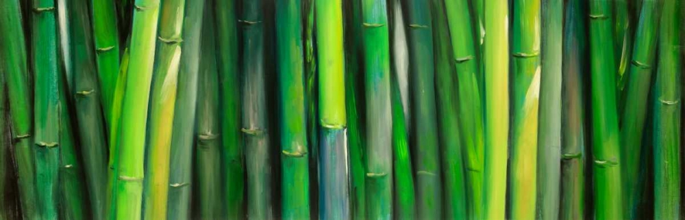 Bamboo Plant art print by Atelier B Art Studio for $57.95 CAD
