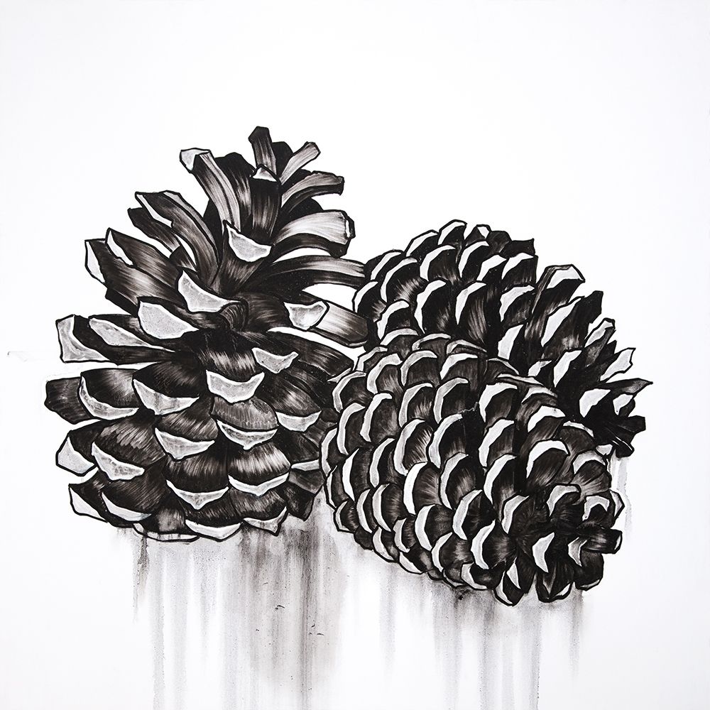 THREE SMALL PINE CONES art print by Atelier B Art Studio for $57.95 CAD