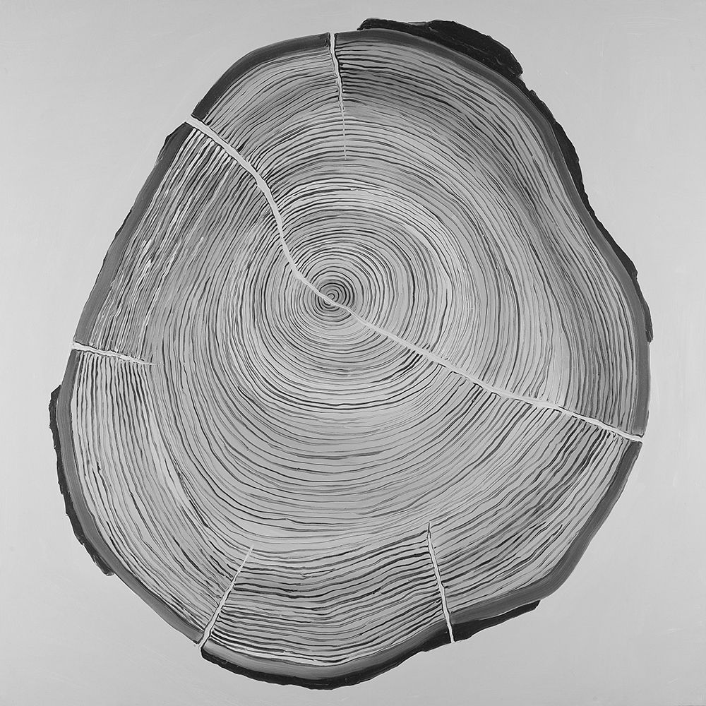 Grayscale Oval Shaped Tree Slab art print by Atelier B Art Studio for $57.95 CAD