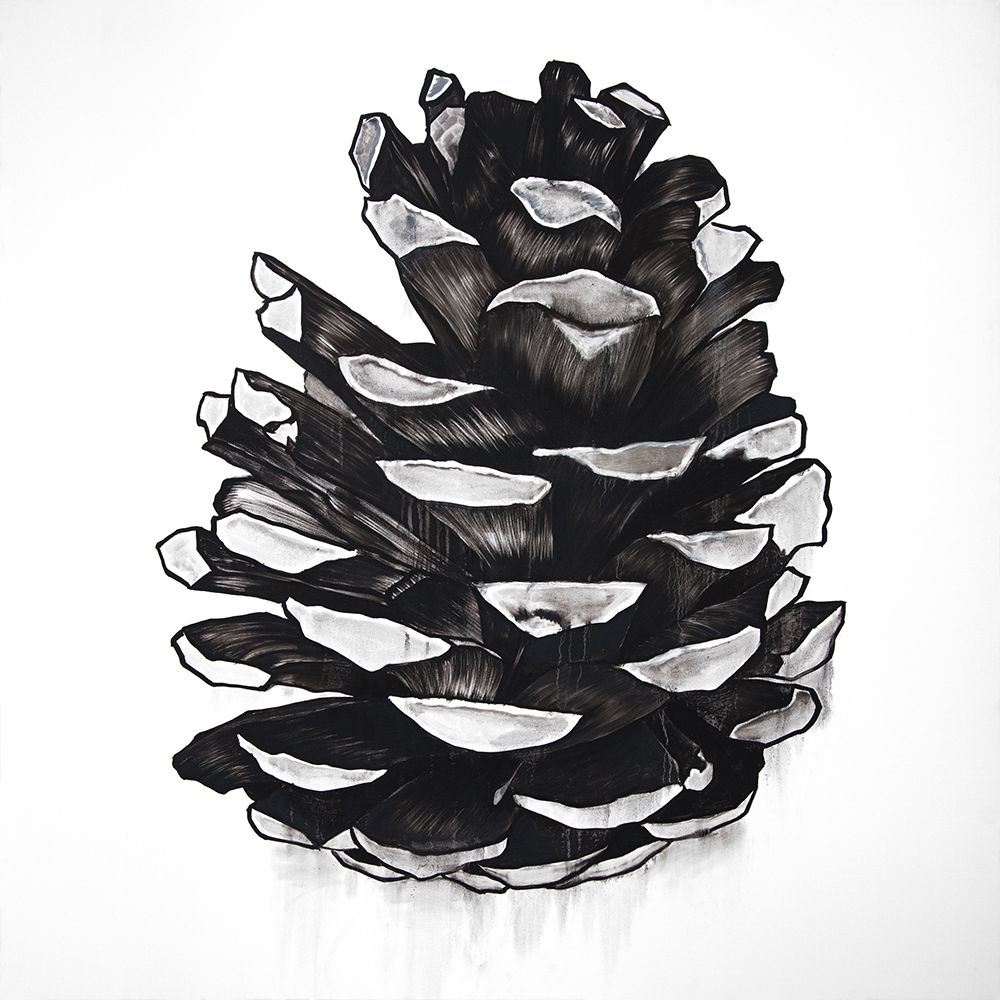 PINE CONE art print by Atelier B Art Studio for $57.95 CAD