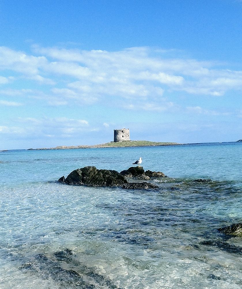 Sea-Tower-pelosa-seagull art print by Salvatore Esposito for $57.95 CAD