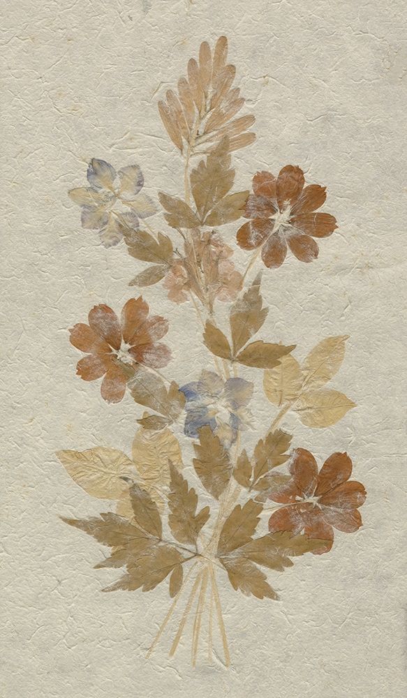 Delicate Dried Flowers arrangement on rice paper art print by anonymous for $57.95 CAD