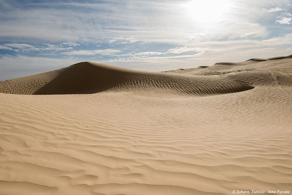 Desert with sand dunes art print by anonymous for $57.95 CAD