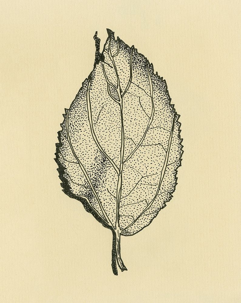 Leaf on Beige background art print by Alessia Meloni for $57.95 CAD