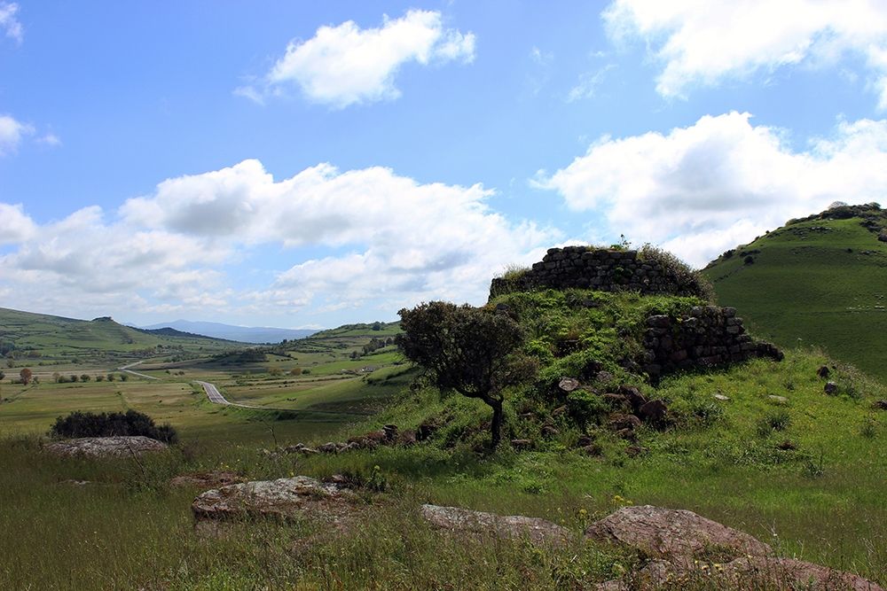 Countryside-Sardinia-photo-green art print by Enzo Pace for $57.95 CAD