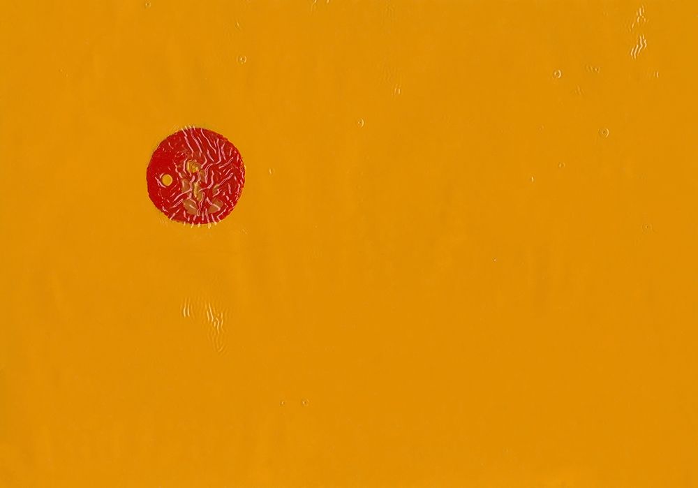 Red Sun in the yellow sky art print by Nicola Roppo for $57.95 CAD