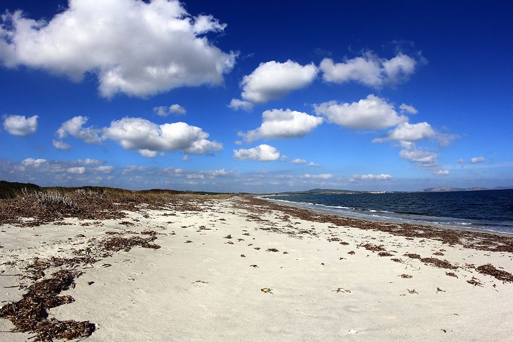 Relaxing Beach with white sand under a cloudy blue sky art print by Giovanni Saiu for $57.95 CAD