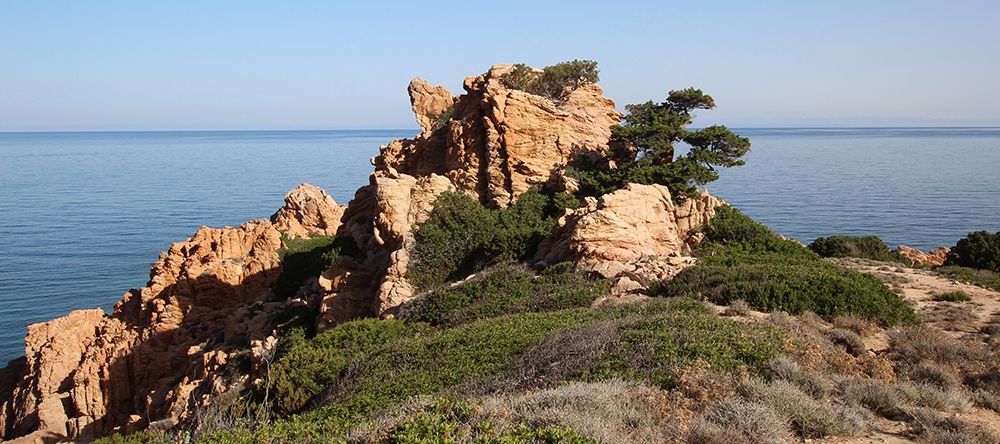 Rocks and mediterranean scrub on the coast art print by Giovanni Saiu for $57.95 CAD